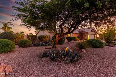 Desert Landscape