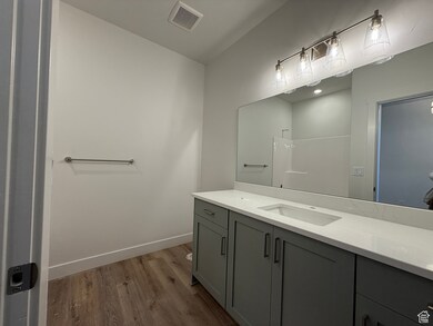 Full bath featuring vanity, light wood-style flooring, and a shower