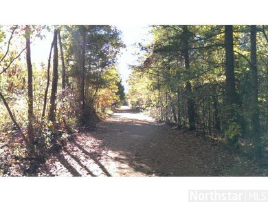 Nicely wooded road to the property