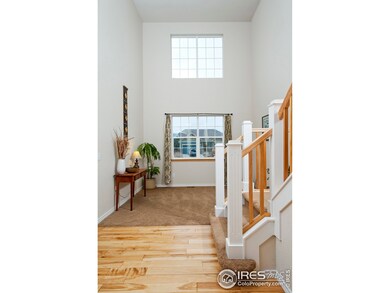 Vaulted Entryway Ceilings in Living Room