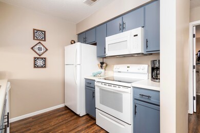 158 Troon Dr unit 19, Branson, MO 65616 - photo 5