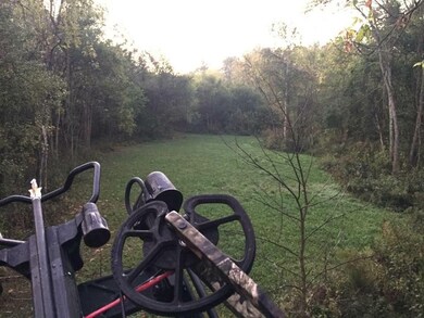 0 Dam Rd, Laurel, IN 47024 - photo 2