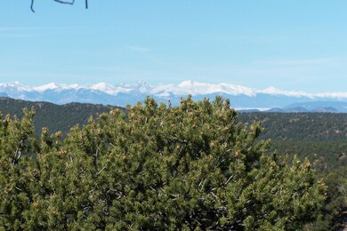 0 W Ridge Dr unit 41, Walsenburg, CO 81089 - photo 6