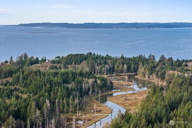 0 Wilson Ln, South Bend, WA 98586 - photo 4