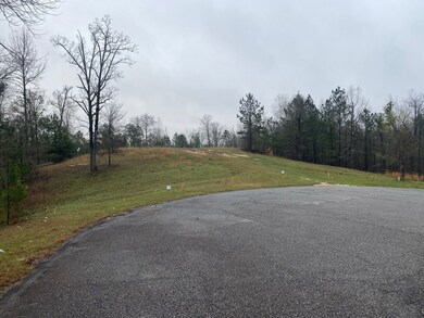 6 Crest Line Dr, Upatoi, GA 31829 - photo 3