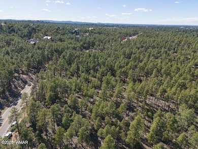 0 E Woolford Rd, Show Low, AZ 85901 - photo 4