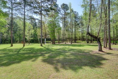 89 Long Creek Loop Rd Rocky-large-042-44