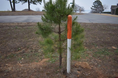 010-11219-038 Swiss Alps Ln, Briarcliff, AR 72653 - photo 4