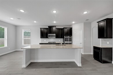 5006 Trembling Aspen Ln, Rosenberg, TX 77471 - photo 5