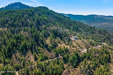 16_DJI_20250415051530_0022_D_M3PRO