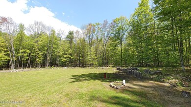 34 Lincoln Mountain Rd, Greenfield Center, NY 12833 - photo 5