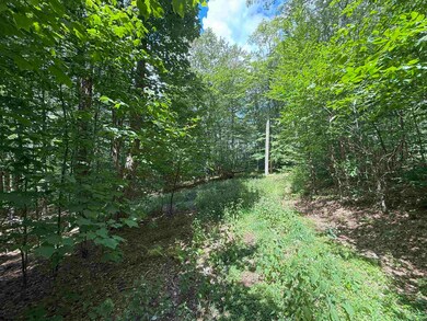 Lot 11 Kumbrabow Rd, Huttonsville, WV 26273 - photo 5