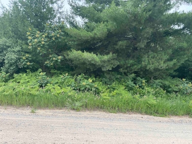 0 W Miller Rd unit 50168811, Mio, MI 48647 - photo 3