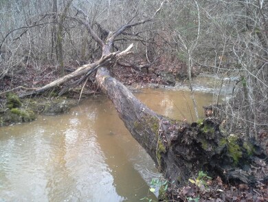 Creek