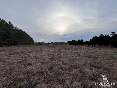 0 Hunters Rd unit 25764201, Sylvania, GA 30467 - photo 7