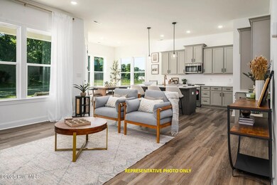 1717 Dixon Grove Ln, Grimesland, NC 27837 - photo 2