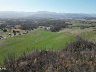 DJI_0529