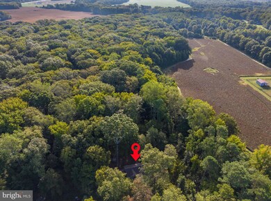 225 Sportsman Neck Rd, Queenstown, MD 21658 - photo 2