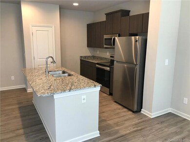 165 Heritage Blvd unit 19, Fort Mill, SC 29715 - photo 5