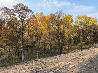 3857 Mayo Ridge Ln SW, Rochester, MN 55902 - photo 4