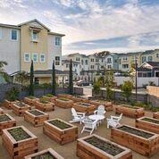 Goleta Community Garden