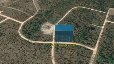 0 Union Dr, Alford, FL 32420 - photo 3