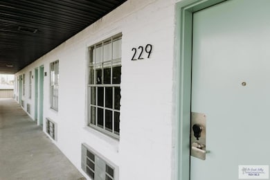 870 Old Alice Rd, Brownsville, TX 78520 - photo 3