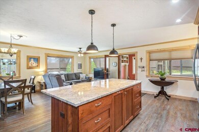 365 Arrowhead Dr, Pagosa Springs, CO 81147 - photo 5