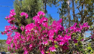 7712 & 7720 U S Route 1, St. Augustine, FL - photo 5