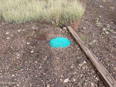 3289 Gerry Ln, Ash Fork, AZ 86320 - photo 4