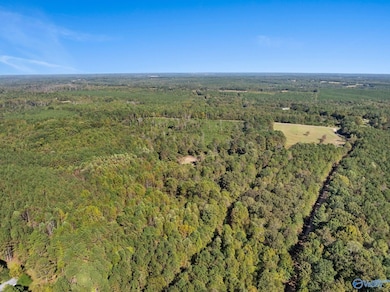 29.1 acres W County Highway 73, Hamilton, AL 35570 - photo 7