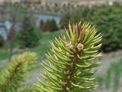 1609 Ginger Ln, Waunakee, WI 53597 - photo 7