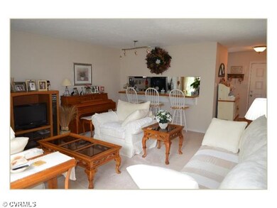 12313 Shore View Dr unit 12313, Henrico, VA 23233 - photo 4