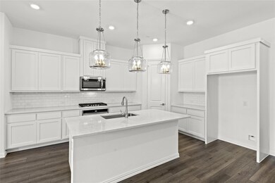 2925 Tenor  Kitchen 2