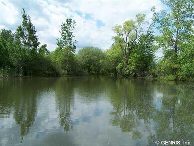 Other Beautiful pond!