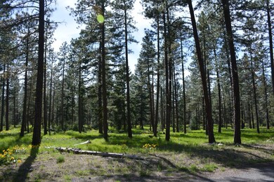 0 Winston Rd unit 607827, Ronald, WA 98940 - photo 2