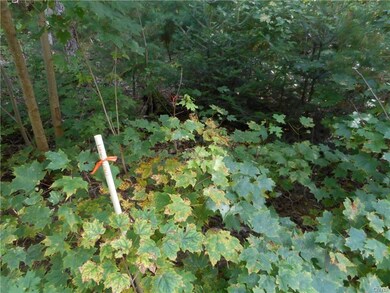 Lot / Land, front left survey marker