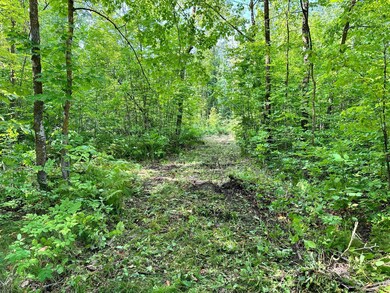 TBD N Blackduk Lake Rd, Blackduck, MN 56647 - photo 5