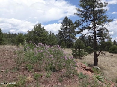 Lot 10 The  Ranch at Alpine