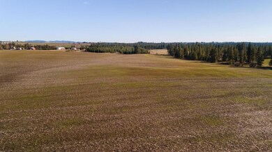 13111 E Gibbs Rd, Valleyford, WA 99023 - photo 4