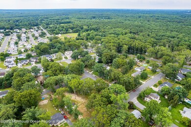 06-Aerial5. - Copy