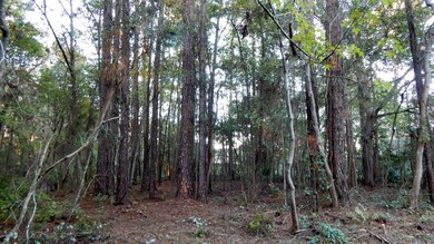 0 Rosedale Ln unit 800887, Jacksonville, FL 32244 - photo 6