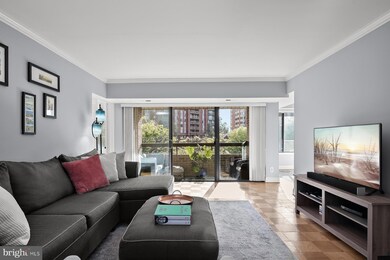 11419 Commonwealth Dr unit 301, Rockville, MD 20852 - photo 3