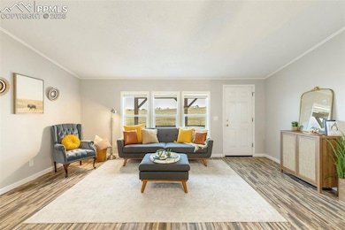 15345 Trigger Rd, Peyton, CO 80831 - photo 7