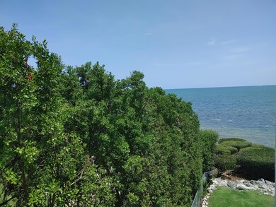 Peek a Book View of Ocean