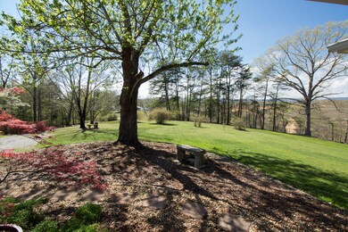 View from Front Porch.jpg