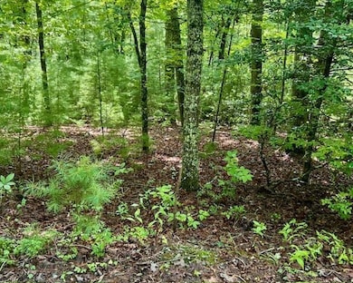 0 Hillbilly Holler unit 7429512, Blue Ridge, GA 30513 - photo 5