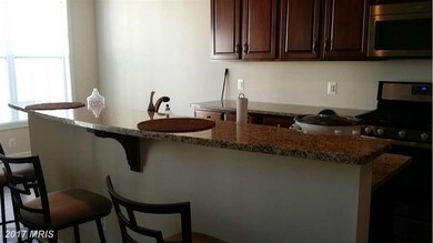 43061 Thoroughfare Gap Terrace unit 43061, Sterling, VA 20166 - photo 6