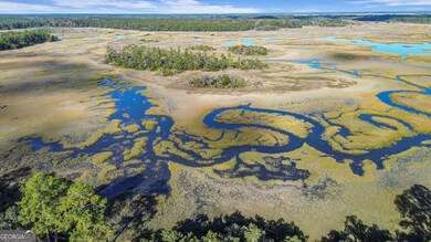 1261 Otter Slide Loop NE, Townsend, GA 31331 - photo 2