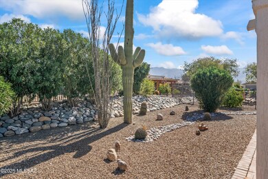 Back Yard View